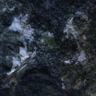 Spinal